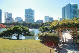 Lugares famosos de Tokio: fotos y descripciones.